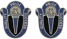 165th Military Intelligence Battalion Unit Crest