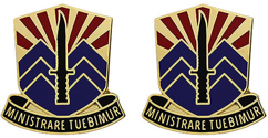 208th Regiment Unit Crest