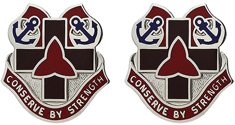 307th Medical Brigade Unit Crest