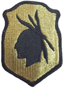 Army Division Multicam Shoulder Patch