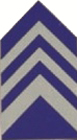 USAF, JROTC Coat Insignia - Military Uniform Items