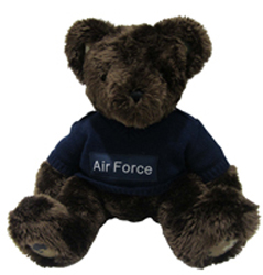 teddy bear air force ones