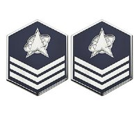 Metal Enamel Insignia